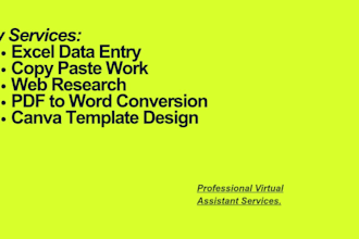 be your virtual assistant for data entry and ms office tasks