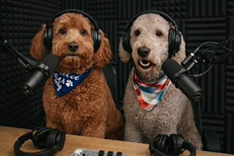 do viral ai talking animal, dog talk, turn your pet to funny ai talking avatar