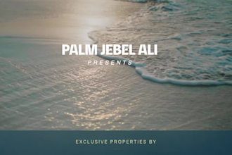 be your professional real estate videographer and editor