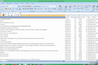 do accurate data entry and excel spreadsheet work
