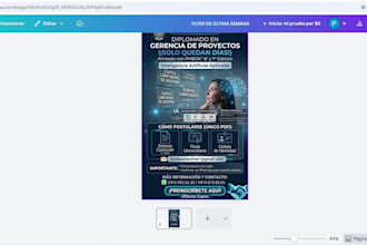 design a professional and eye catching infographic