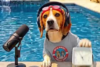 create ai talking dog christmas greetings, ai podcast,ai funny dog videos