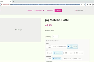 automate your website testing with  selenium or playwright