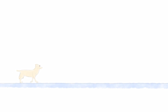 do  a minimalist animation or illustration