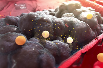 create professional 3d medical animation and medical explainer video