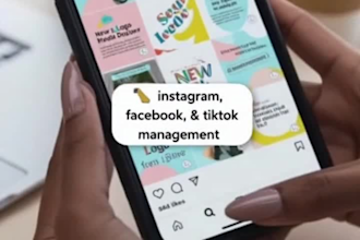 facebook instagram tiktok bio profile editing