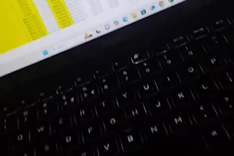 convert PDF to word and excel manually