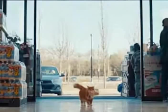 do ai faceless viral shorts, sora ai video, viral ai youtube shorts,
