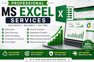 do professional microsoft excel data entry,