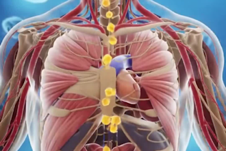 create 3d medical, anatomy, surgery and device animations