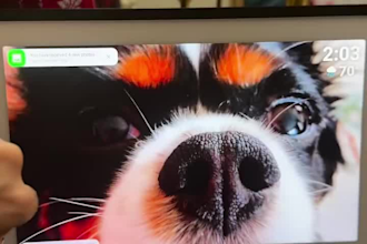 create christmas holiday ugc videos for tiktok and instagram