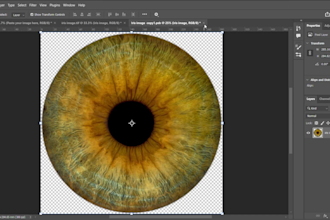 create iris design templates for your business
