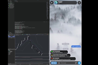 build a custom mt5 trading bot in python