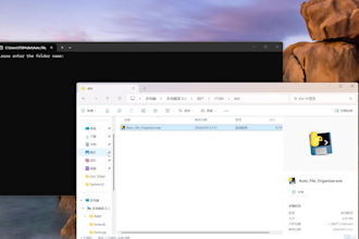 create a python file organizer automation script