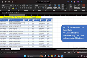 convert PDF, CSV to excel with data cleaning and formatting