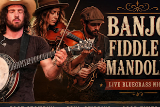 record fiddle, mandolin, or banjo for your music