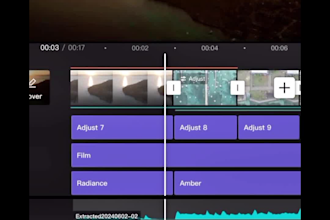 tiktok and shorts video editing  capcut expert