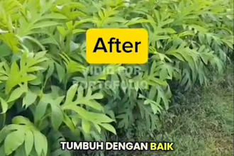 record a natural female indonesian voice over