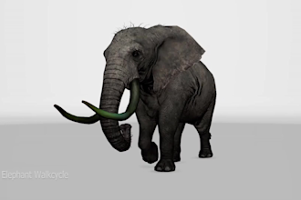 do 2d and 3d character animation and game character rigging in blender