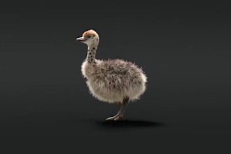 rig and animate 3d creature 3d monster, 3d animal rig for game and animation