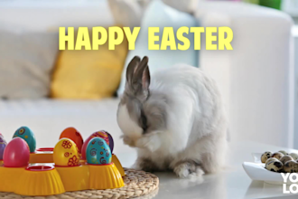 make a real estate video ad for easter with your logo