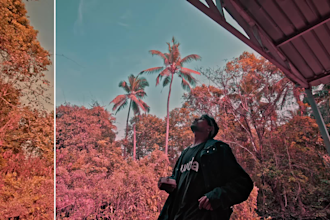 do a clean color grade for your videos