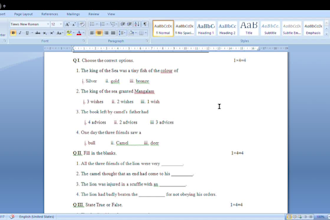 do ms office works