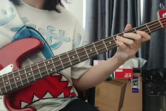 do bass lines for various genres