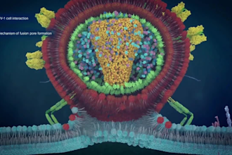 create 3d medical animation virus animation moa animation biotech animation