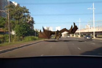 do vfx and cgi for you