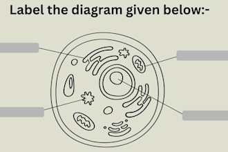 design educational worksheets for students