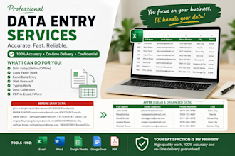 do accurate data entry and copy paste task