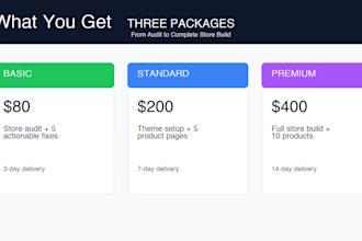 build and optimize your shopify store for conversions