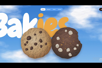 design and develop a landing page or business website with branding