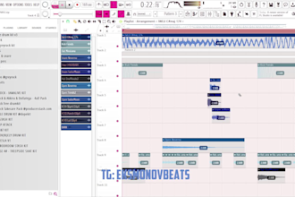 make a professional custom beat for your song