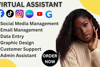 be instagram virtual assistant executive email manager administrative assistant
