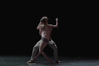 perform a professional couple ballet dance with my romantic partner