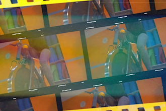edit professional fitness workout exercise videos, gym videos and reels