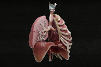 create professional 3d medical animation, surgical animation, scientific