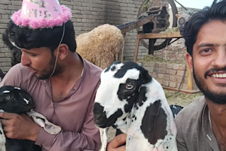 wish african happy birthday video or happy birthday video