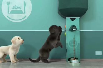 3d animation video 3d character animation commercial animation, cartoon video