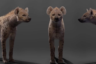 integration 3d animal model, 3d animal design, 3d animal rigging