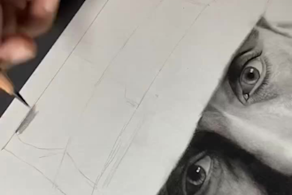 hand draw custom portrait