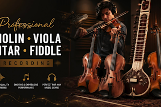 record professional violin, viola, sitar and fiddle tracks for your music