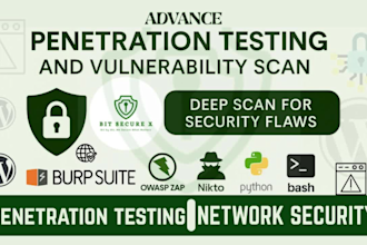 perform website penetration testing and vulnerability assessment