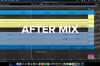 professionally mix your vocals