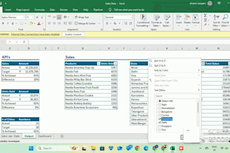 convert PDF to excel clean data and create excel dashboards