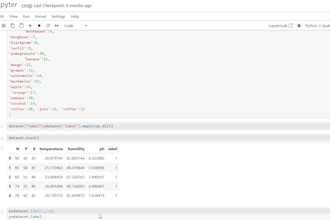 clean, visualize, and create ml models for your data