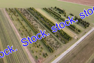 dji mini 2 footage