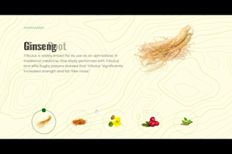 wordpress landing page design or elementor landing page